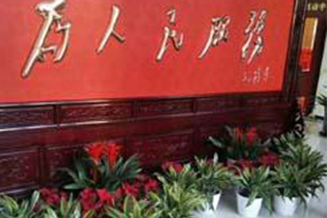 案例 (10)